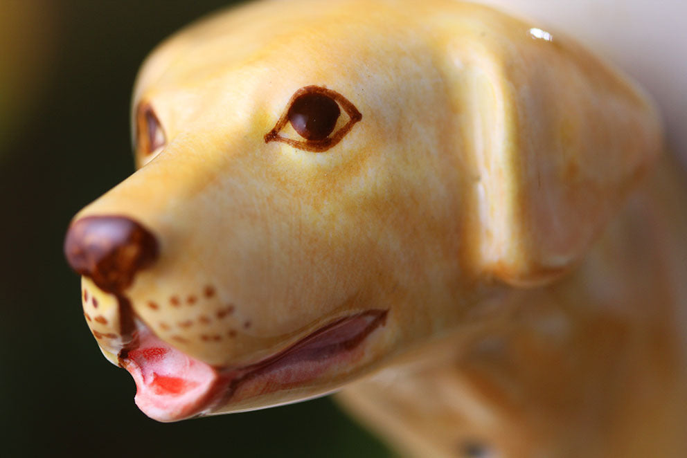 Hand Drawn  Golden Retriever Ceramic Dog Cup