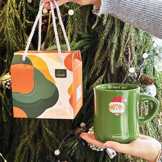 Christmas Cute Ceramic Mug Gift