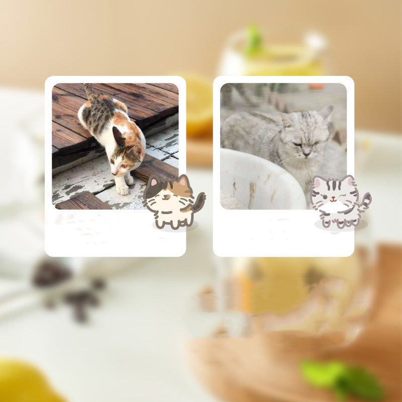 Cute Cartoon Glass Coffee Espresso Cat Shape